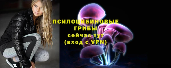 соль курить ск Арсеньев