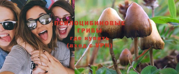 mdpv Алексин