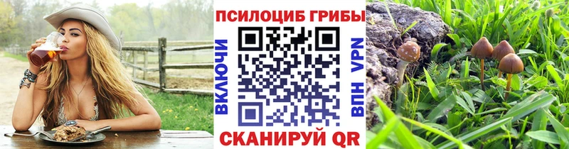 сколько стоит  Нарткала  Псилоцибиновые грибы прущие грибы 